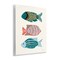 Stupell Industries Bright Tropical Fish Wall Plaque Art Design by Yvette St. Amant